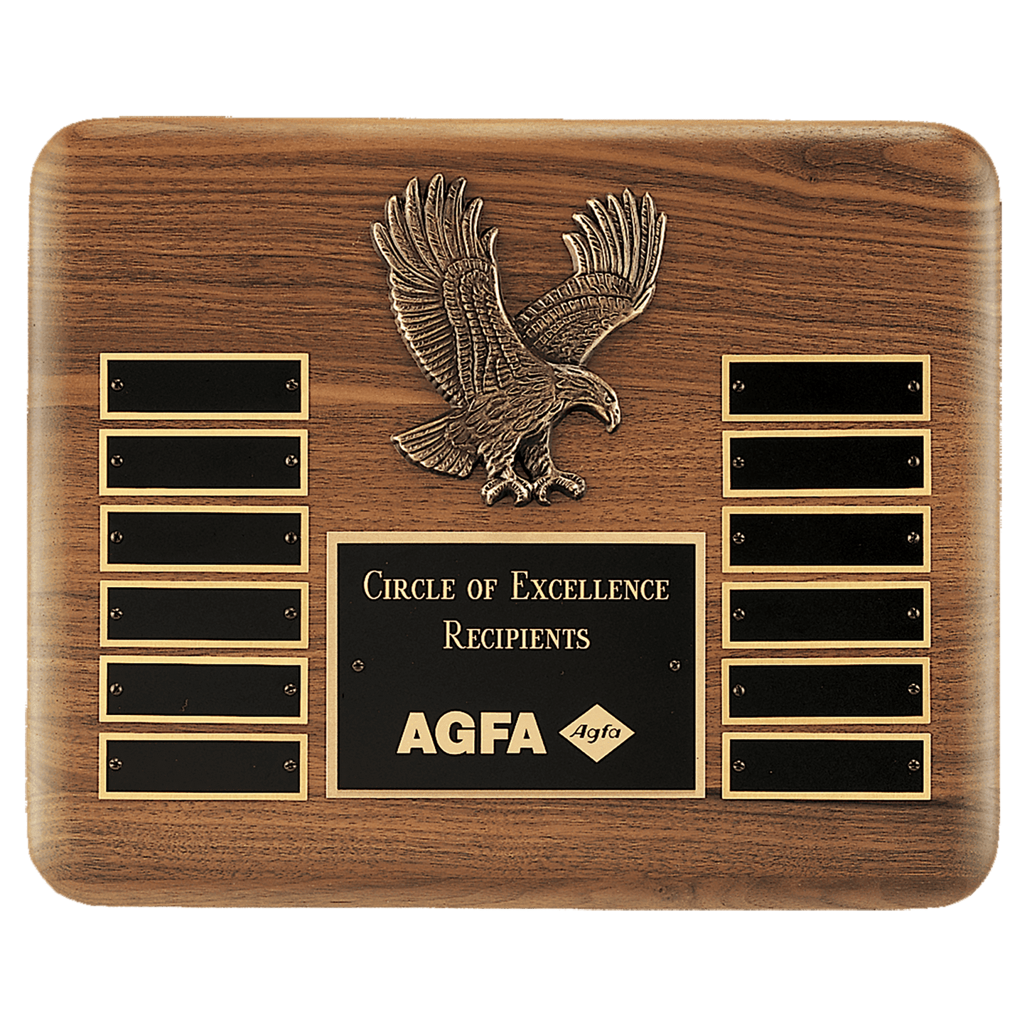 13" X 10 1/2" Solid American Walnut Plaque with Finely Detailed Antique Bronze Eagle Casting and Black LaserFX Header and...
