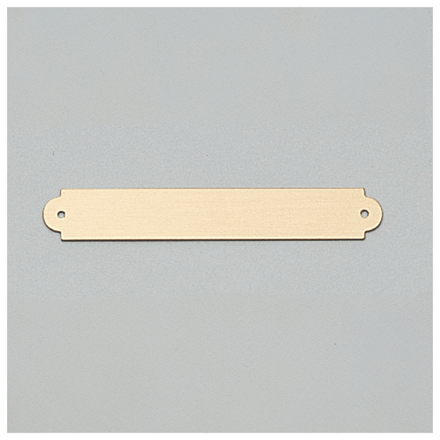 3/8" x 2 1/2" Brushed Gold Brass Plate with Two Holes
