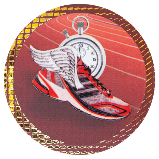 2" Track Dazzle Insert
