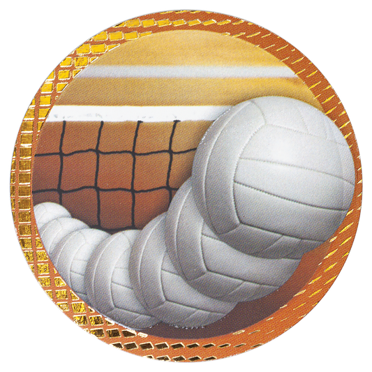 2" Vollyball Dazzle Insert