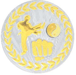 2" Metallic Martial Arts Mylar