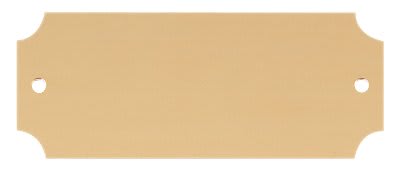 2 1/2" x 1" Satin Gold Brass Perpetual Plate