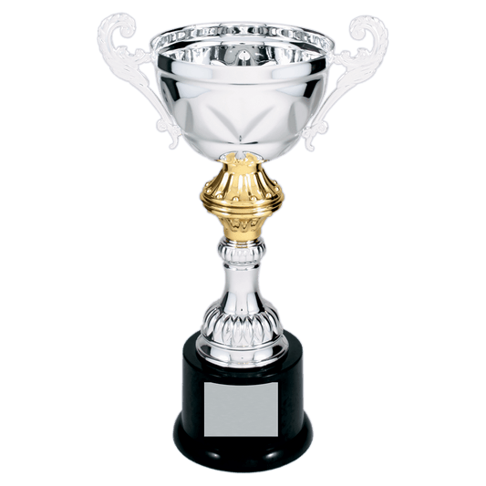 Silver Completed Metal Cup Trophy on Plastic Base - 10"