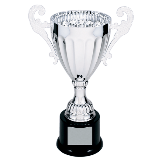 Silver Completed Metal Cup Trophy on Plastic Base - 9 3/4"