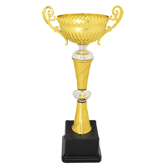 Gold/Silver Completed Metal Cup Trophy - 12"