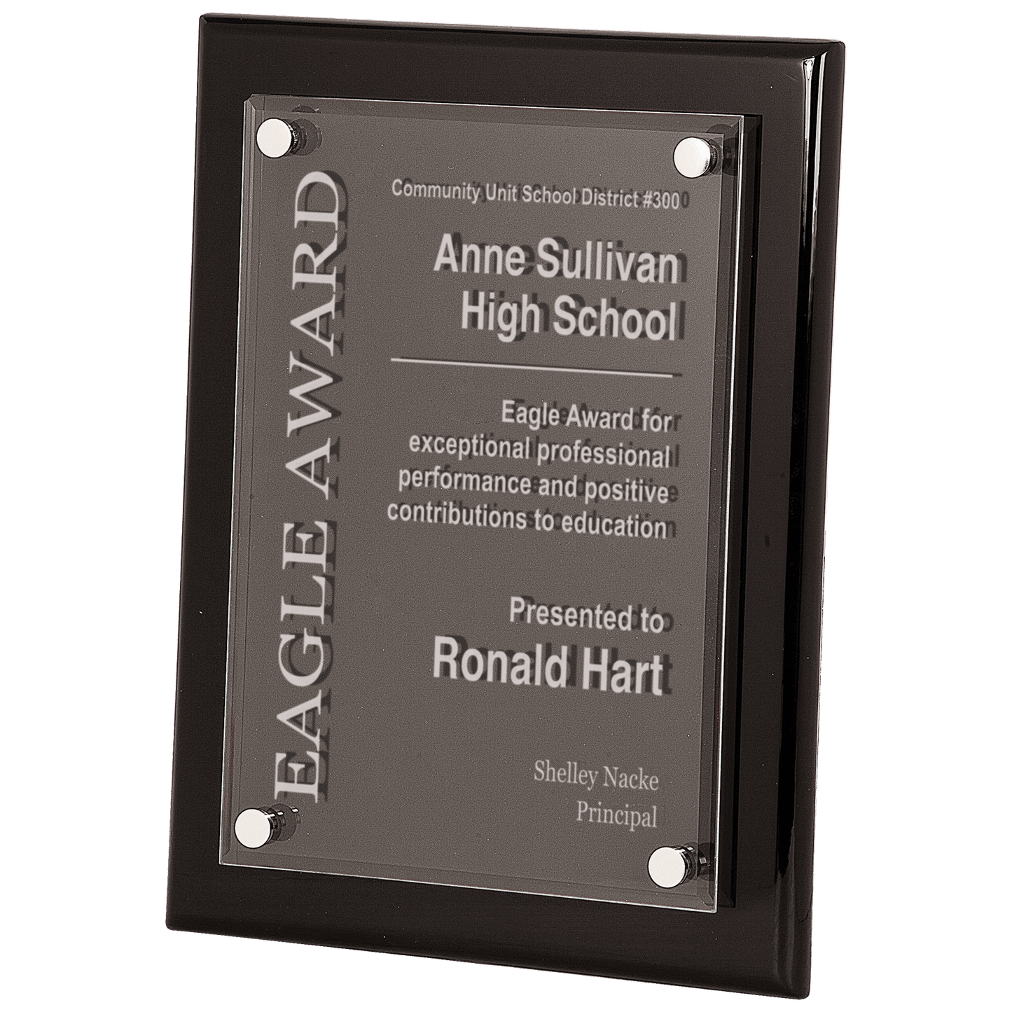 Black Piano Finish Floating Acrylic Plaque - 9" x 12"