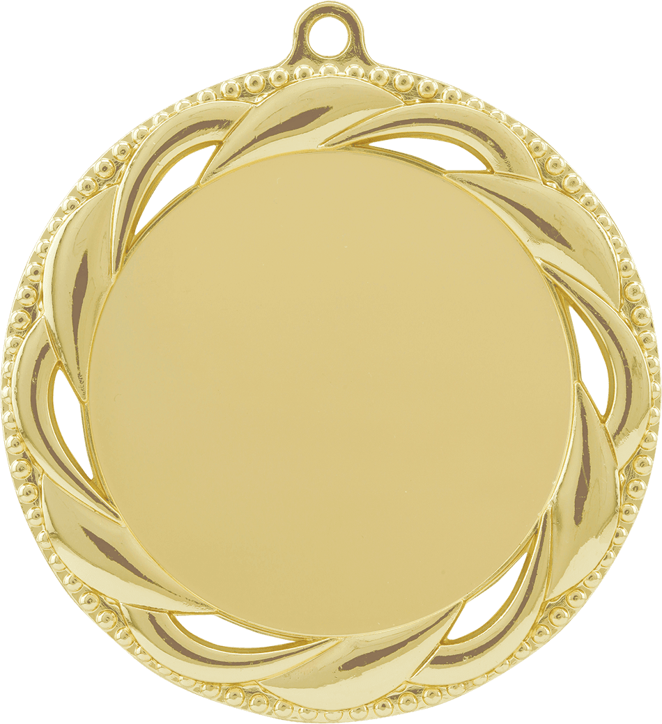 2 3/4" Bright Gold Rosette 2" Insert Holder Medal