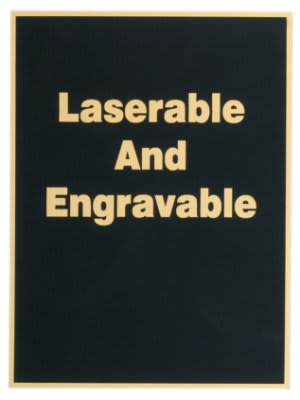 8 1/2" x 11" Black/Gold Brass Plated Steel Plaque Plate