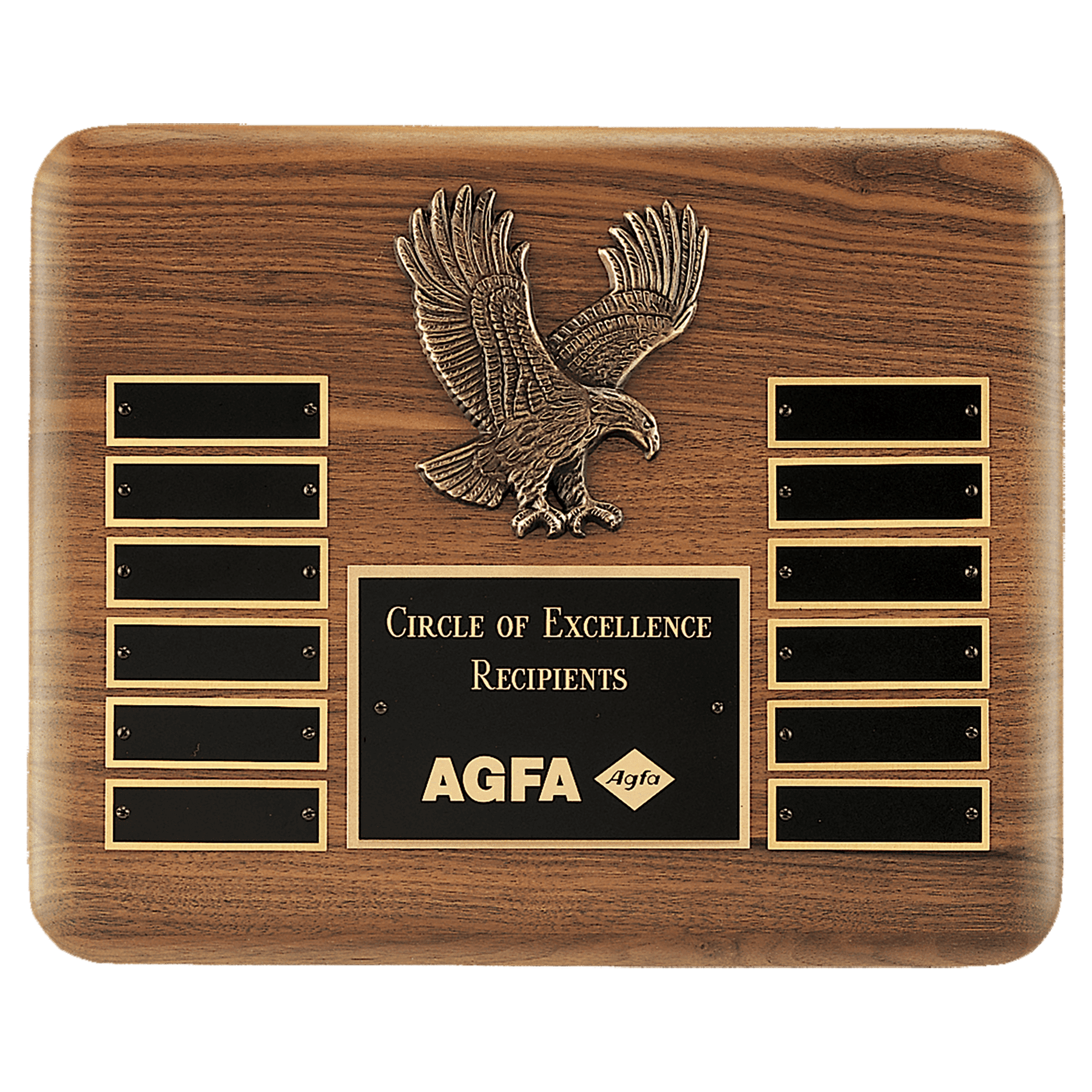 13" X 10 1/2" Solid American Walnut Plaque with Finely Detailed Antique Bronze Eagle Casting and Black LaserFX Header and...