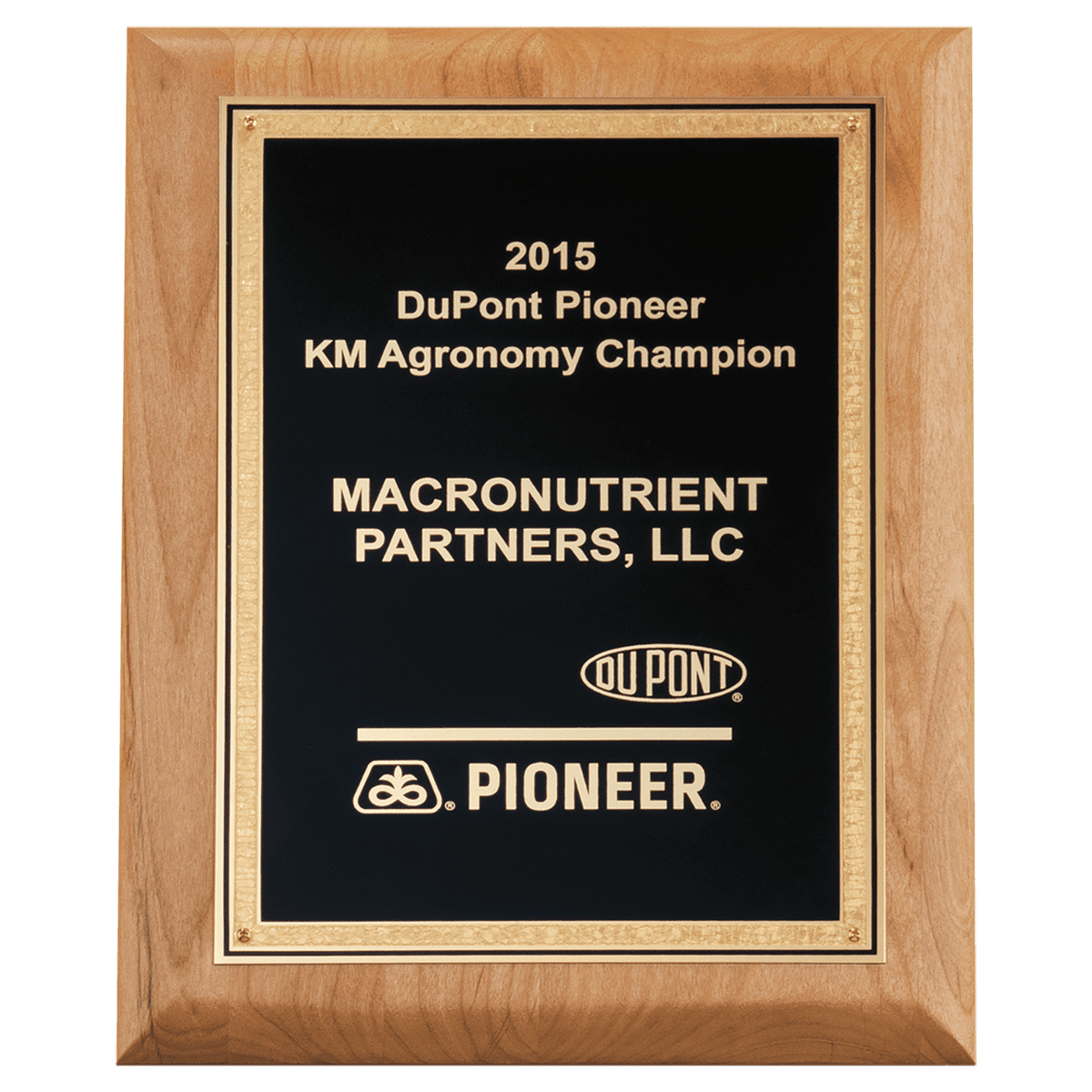 9" x 12" Natural Alder Wood Plaque with Black Textured, Gold Florentine Bordered LaserFX Plate