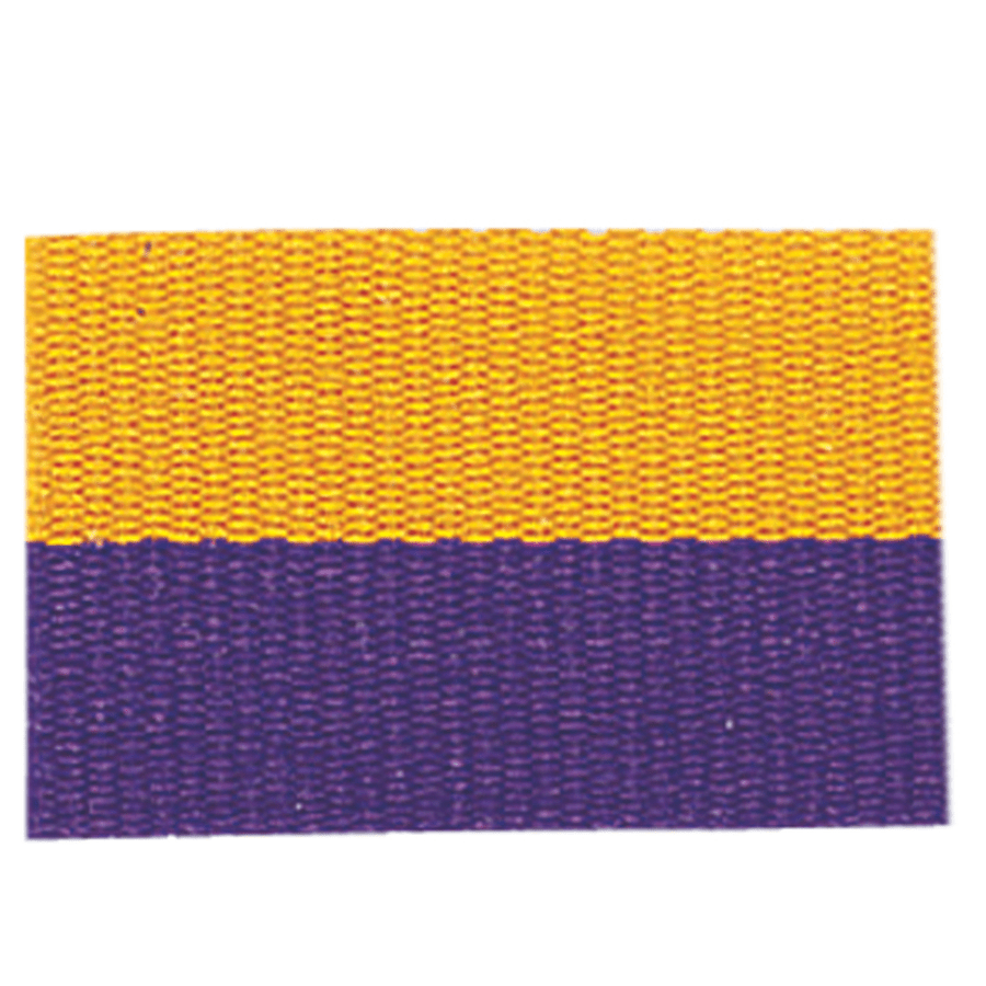 1 1/2" Purple/Gold Neck Ribbon without Snap Clip
