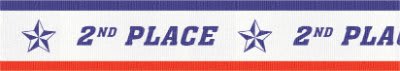 7/8" 2nd Place Sport Neck Ribbon with Snap Clip