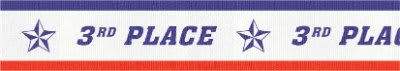 7/8" 3rd Place Sport Neck Ribbon with Snap Clip