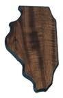 4" x 8 1/2" Walnut Finish Black Edge Illinois State Plaque