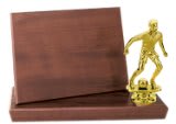 7" x 5" Value Cherry Finish Standup Plaque