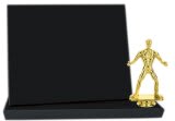 10" x 8" Value Black Finish Standup Plaque