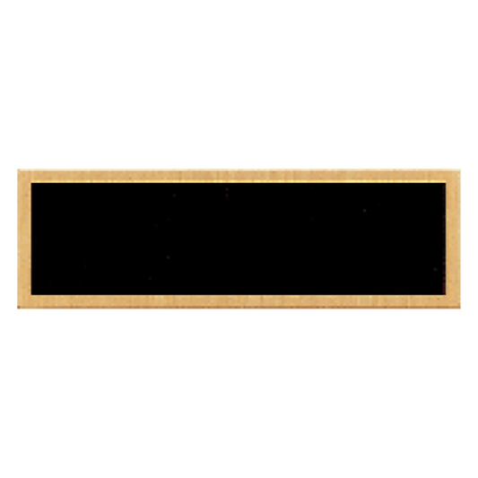 7/8" x 2 3/4" Black Plate with Gold Border and No Holes