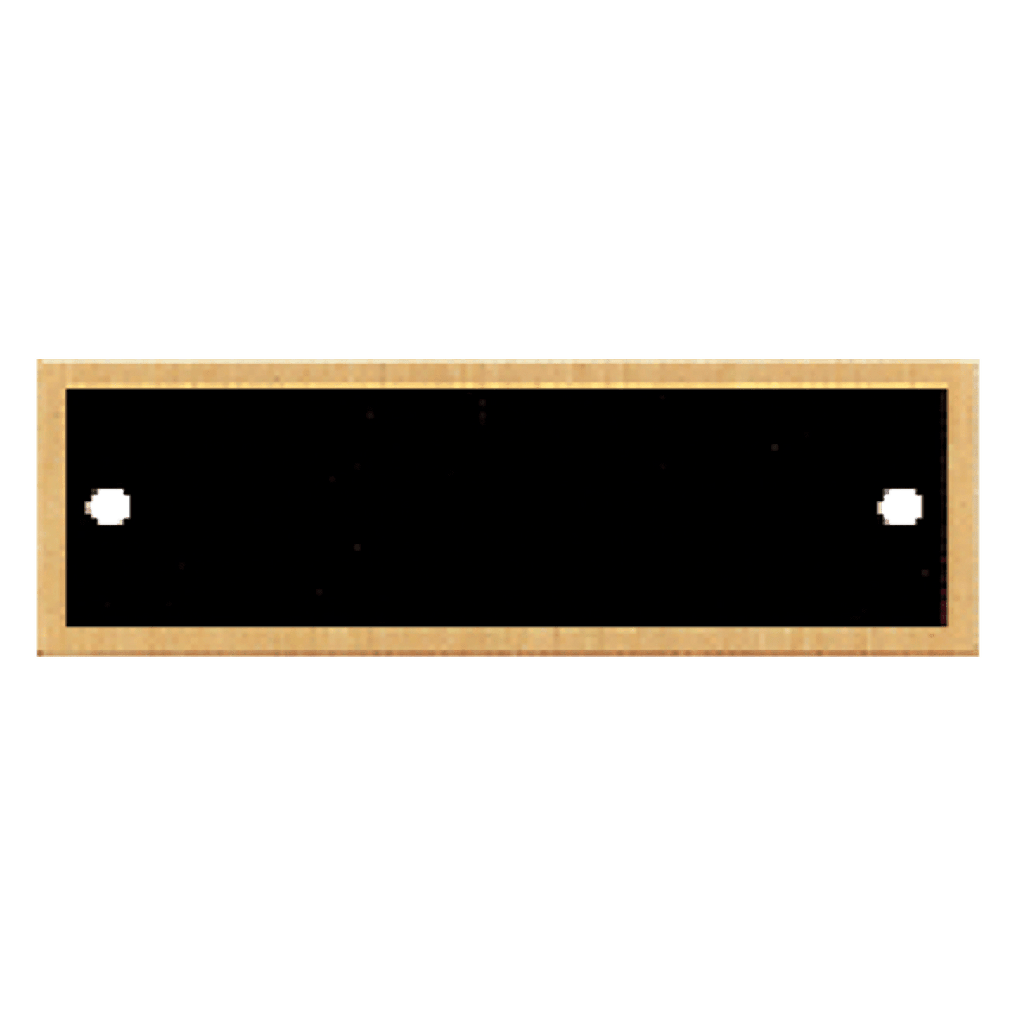 1" x 3 1/4" Black Plate with Gold Border and Two Holes