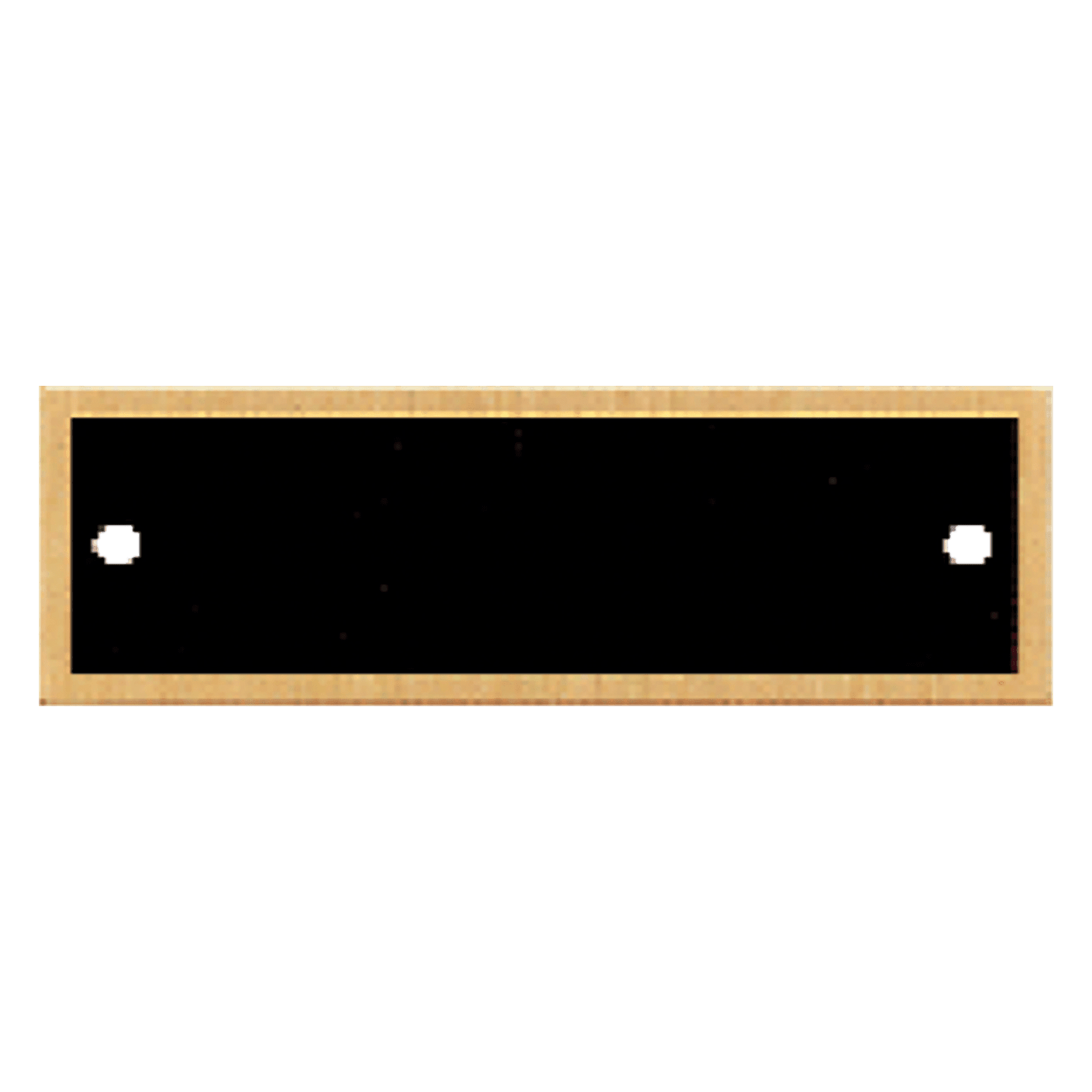 1" x 3 1/4" Black Plate with Gold Border and Two Holes