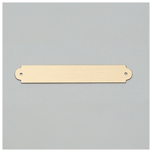 3/8" x 2 1/2" Brushed Gold Brass Plate with Two Holes