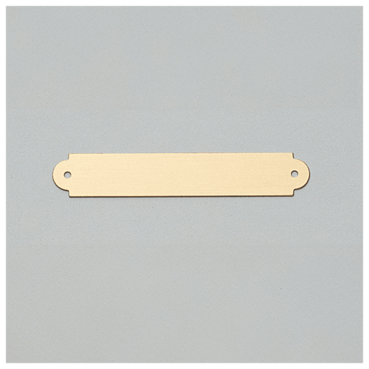 1/2" x 3" Brushed Gold Brass Plate with Two Holes
