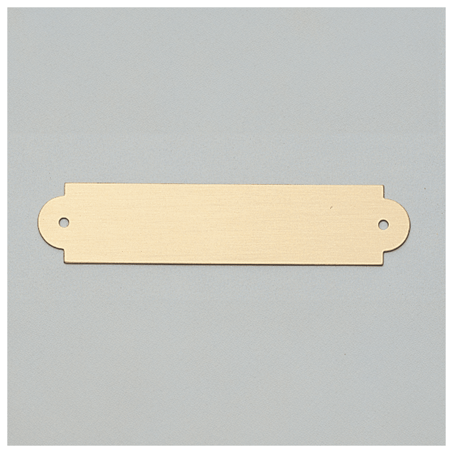 3/4" x 3 1/2" Brushed Gold Brass Plate with Two Holes