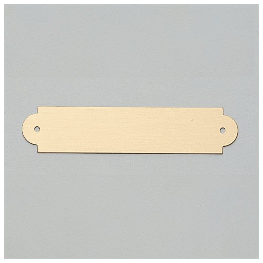 3/4" x 3 1/2" Brushed Gold Brass Plate with Two Holes