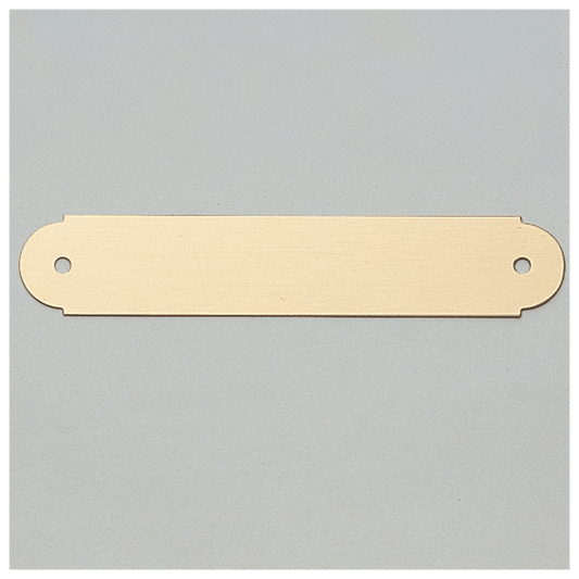 3/4" x 4" Brushed Gold Brass Plate with Two Holes